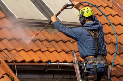 Démoussage et hydrofuge de toiture à Lorleau